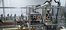 Top-loading case packer roboticbottlecompact
