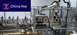 Top-loading case packer roboticbottlecompact