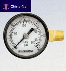 Dial pressure gauge threadedBourdon tubeprocess