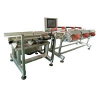 Sorting machine for the food industry DHWS400*150-4process