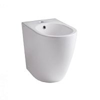 Ceramic bidet COVERfor handicapped
