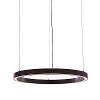 Pendant lamp THE RINGsteelcopperbronze