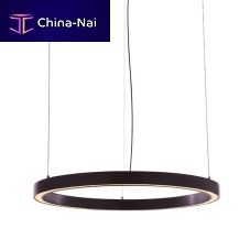 Pendant lamp THE RINGsteelcopperbronze
