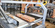 Layer palletizer FL-PALroboticpackagefor the food industry