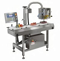 Automatic weighing-labeling machine 12 kg, 2 g, max. 500 x 300 x 250 mm | CE 9500 series