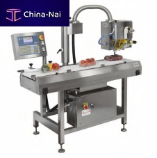 Automatic weighing-labeling machine 12 kg, 2 g, max. 500 x 300 x 250 mm | CE 9500 series