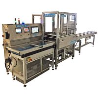 Automatic packaging machine RDM-SDcontinuouselectronicservo-driven