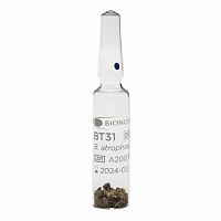 Sterilization biological indicator BT31medical