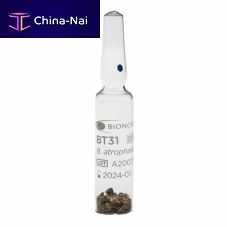 Sterilization biological indicator BT31medical