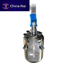 Turbine agitator batchgas/liquidvertical