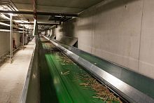 Waste treatment conveyor belt