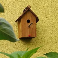 Larch birdhouse wall-mounted