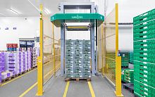 Layer palletizer boxfor the food industry