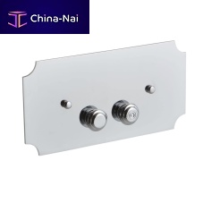 Double toilet flush button PLGB01