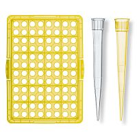 Pipette tip 0.5 - 10 000 �l
