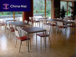 Contemporary table ECOHPLrectangularfor restaurant