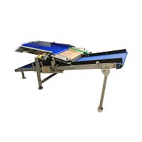 Tray filler RTA-F118for fruitfor the food industry