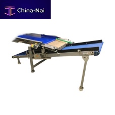 Tray filler RTA-F118for fruitfor the food industry