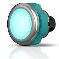 Stainless steel indicator light CANEO series10 Signal permanentLEDsurface-mount