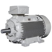 Low-voltage motor asynchronousIP55IP65