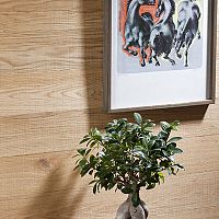 Oak wall-covering BAR 430wood lookhome