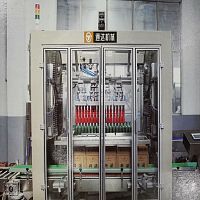 Top-loading cartoner medicalfor the food industryautomatic