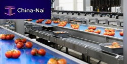 Optical sorting machine automatedfor tomatoesrobotic