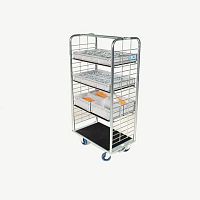 Transfer trolley Rollisstorageorder-pickingservice