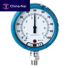 Absolute pressure gauge RosemountanalogthreadedIP67