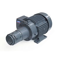 Gear pump ZMoilelectricself-priming