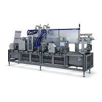 Ice cream production filler A3automaticfor the food industryflexible
