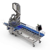 Horizontal case tray packer TESA UR-50roboticfor frozen foodtray