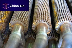 Boiler economizer