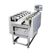 Multihead weighing machine TSDW-205for bulk materialswith belt feeder