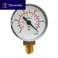 Mechanical vacuum gauge PMM dial