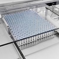 Tray loading system