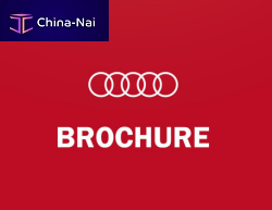 �������� ��� AUDI Chengdu BF Auto Parts Co.,Ltd
