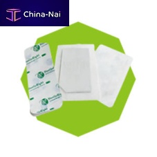 Sterilization biological indicator medical