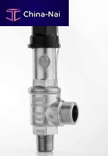 Safety valve 3030 series