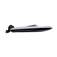 Outboard day cruiser V600 Srigid hullopendual-console