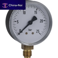 Absolute pressure gauge R16 seriesdialthreadedG 1/4