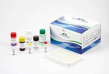 Beta-2 microglobulin reagent kit BM010Tsolutionfor researchfor cancers