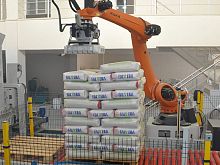 Robotic palletizer articulated