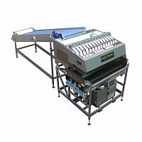 Electronic weighing machine W seriesgarlicfor fruitfor tomatoes