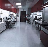 Vinyl flooring COLOREX SDindoorfor healthcare facilitytertiary