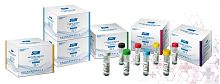 Colorectal cancer assay kit CA242 for pancreatic cancerfor tumor markerschemiluminescence immunoassay