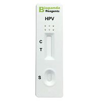 Rapid infectious disease test RAPG-HPV-001for cervical cancerfor antigensHPV