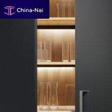LED light module