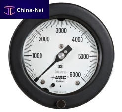 Absolute pressure gauge 1933analogpanel-mountback mount