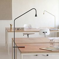 Desk lamp AUSTEREbrasscontemporarycorded